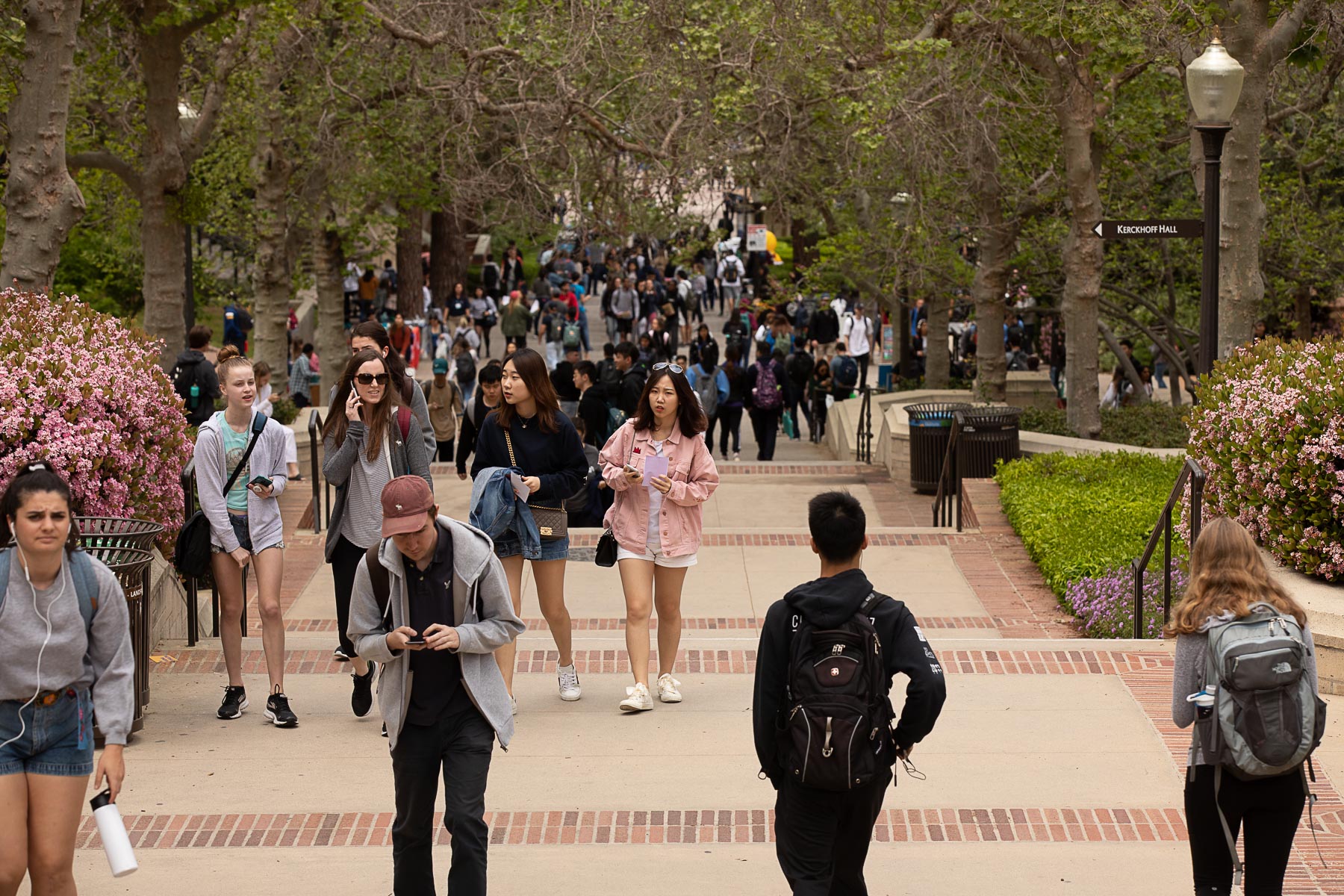 Bruin walk filled with students walking
